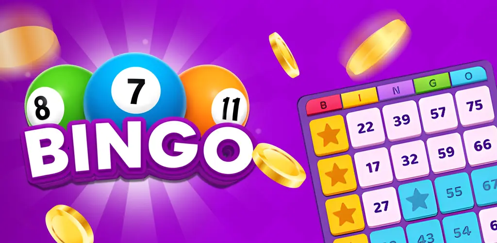 247 bingo